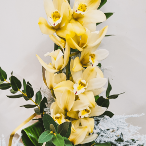 Bouquet Orquídea