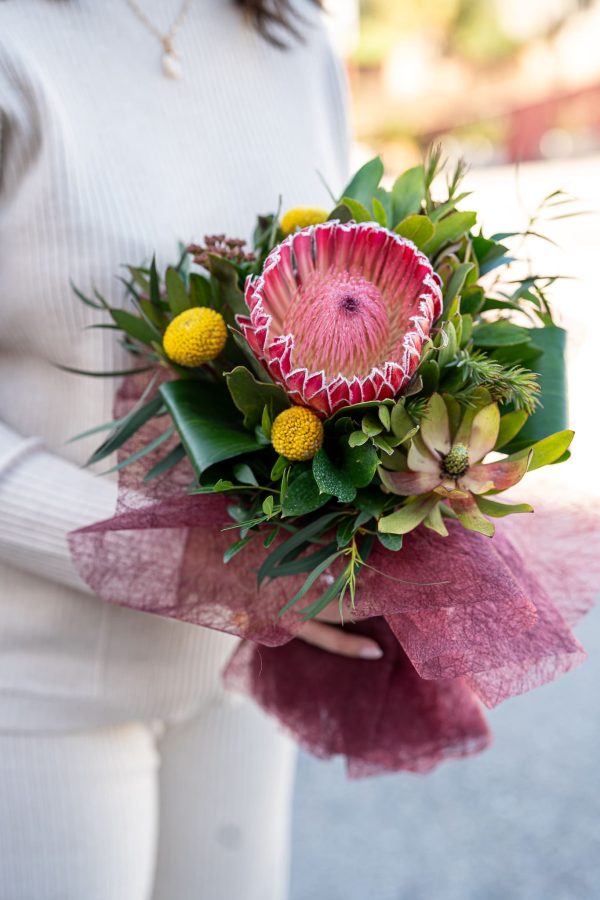 Ramo Protea - Image 2